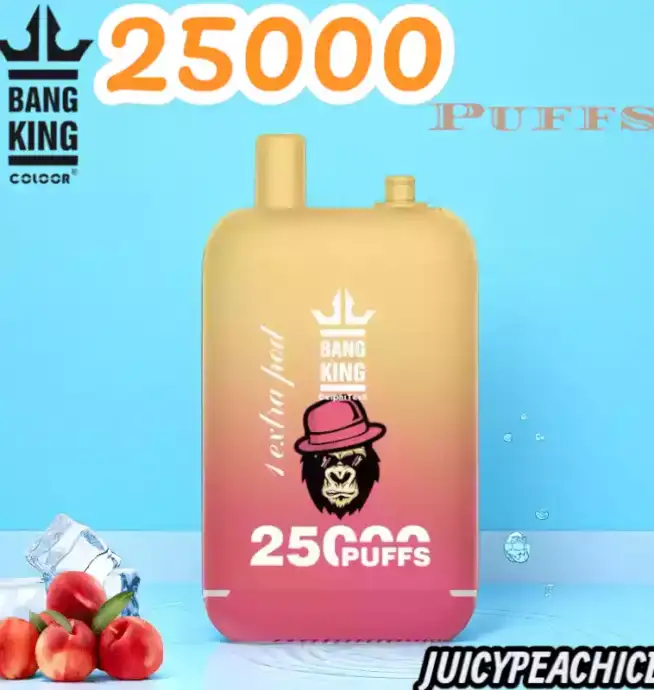 BANG King 25000 Puffs Disposable Vape 25.000 Züge Wiederaufladbar Fruchtige Aromen