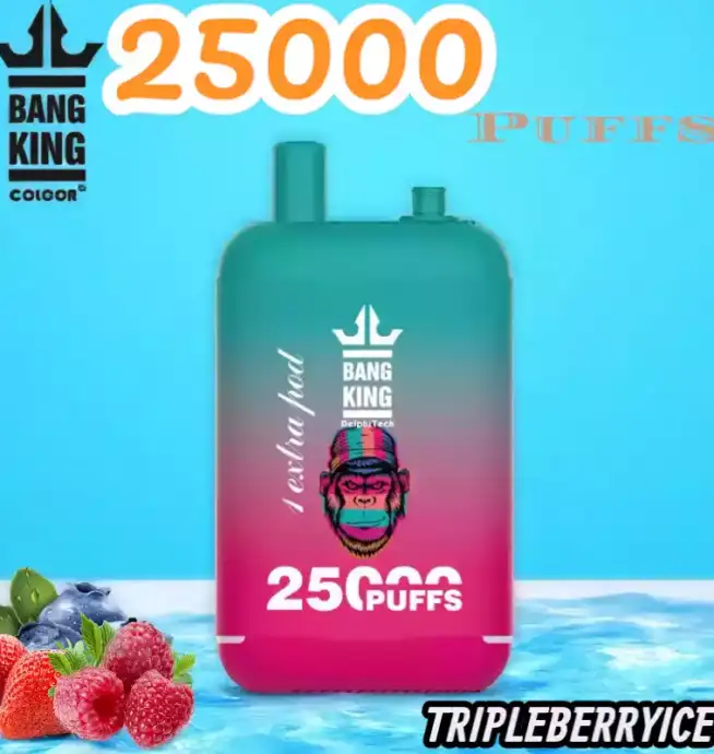 BANG King 25000 Puffs Disposable Vape 25.000 Züge Wiederaufladbar Fruchtige Aromen