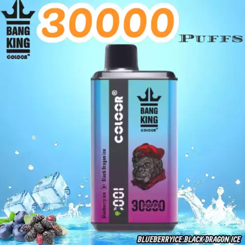 BANG King 30000 Puffs Disposable Vape 36ml 30.000 Züge Type-C Lade