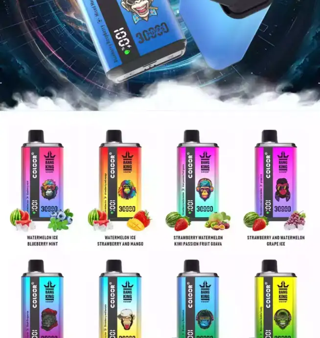 BANG King 30000 Puffs Disposable Vape 36ml 30.000 Züge Type-C Lade