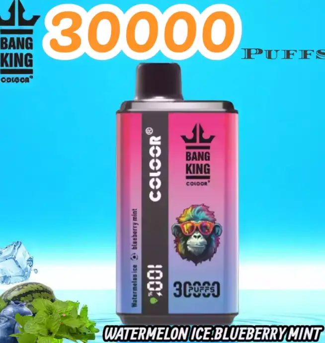 BANG King 30000 Puffs Disposable Vape 36ml 30.000 Züge Type-C Lade
