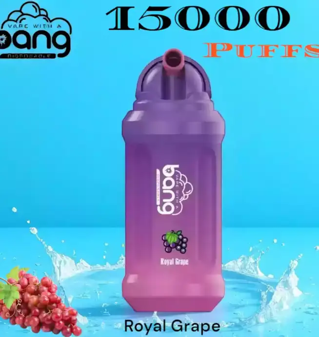 Bang 15000 Puffs Disposable Vape 21ml E-Liquid & 15000 Züge