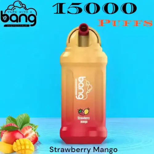 Bang 15000 Puffs Disposable Vape 21ml E-Liquid & 15000 Züge
