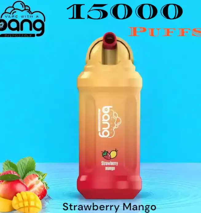 Bang 15000 Puffs Disposable Vape 21ml E-Liquid & 15000 Züge