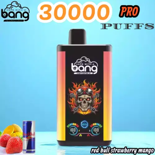 Bang 30000 Puffs PRO Disposable Vape 36ml Liquid & 30.000 Züge
