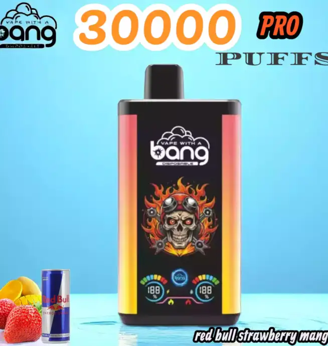 Bang 30000 Puffs PRO Disposable Vape 36ml Liquid & 30.000 Züge
