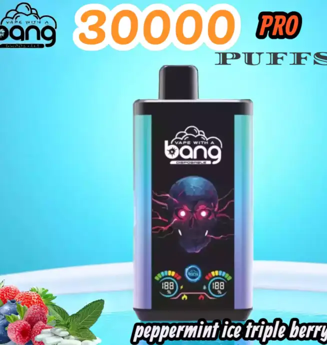 Bang 30000 Puffs PRO Disposable Vape 36ml Liquid & 30.000 Züge