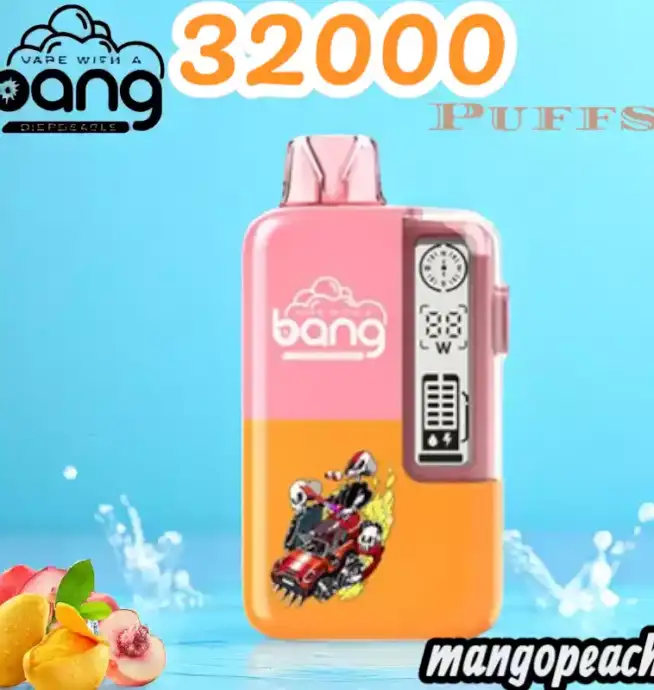 Bang 32000 Puffs Disposable Vape 32ml E-Liquid & 32.000 Züge