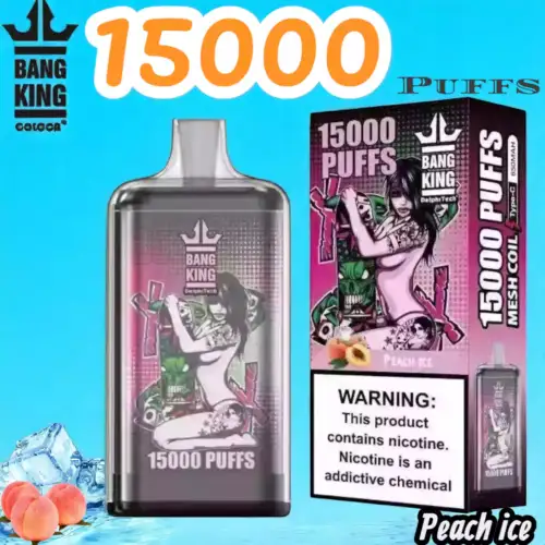 Bang King 15000 Puffs Disposable Vape 25 ml 550 mAh Akku 20 Geschmacksrichtungen