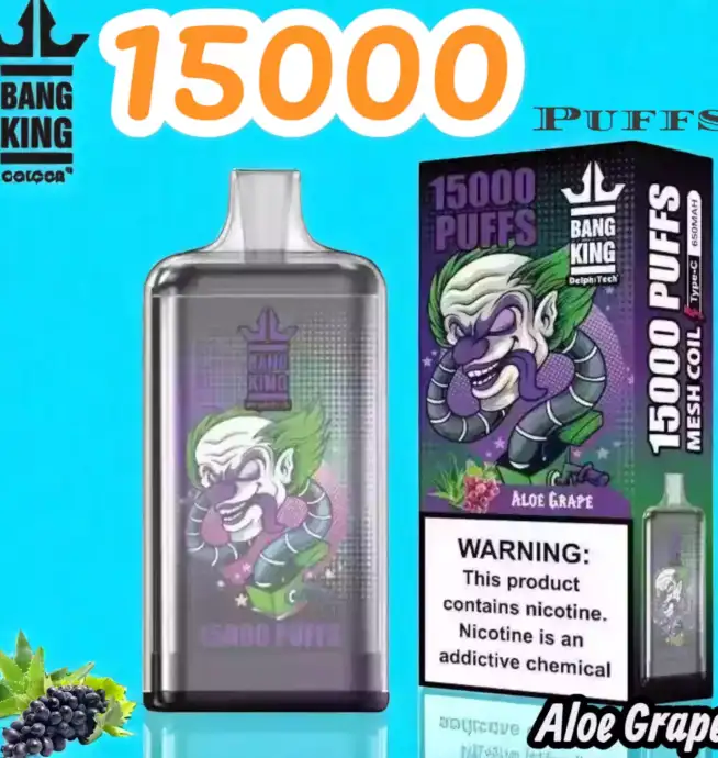 Bang King 15000 Puffs Disposable Vape 25 ml 550 mAh Akku 20 Geschmacksrichtungen