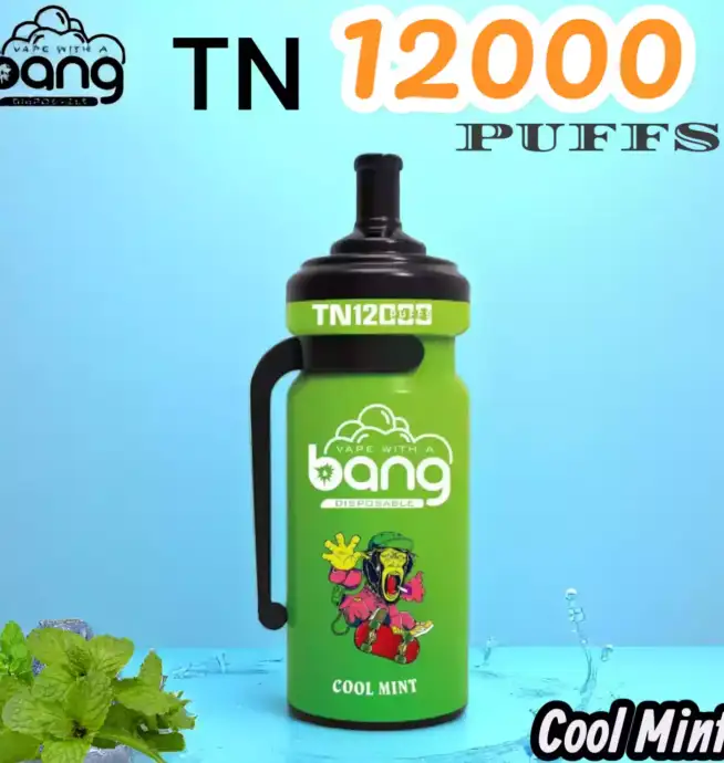Bang TN 12000 Puffs Disposable Vape 12000 Züge 20ml Liquid 650mAh Akku