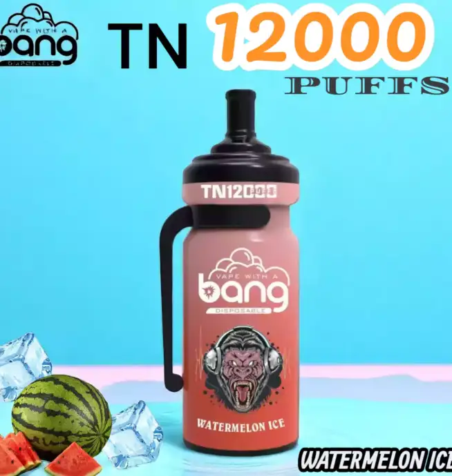 Bang TN 12000 Puffs Disposable Vape 12000 Züge 20ml Liquid 650mAh Akku