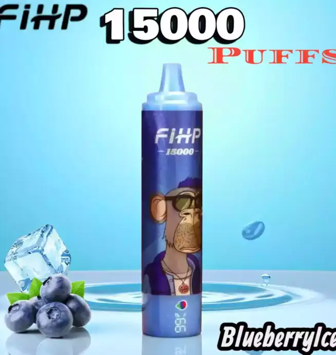 FIHP 15000 Puffs Disposable Vape mit LED Display & USB-C
