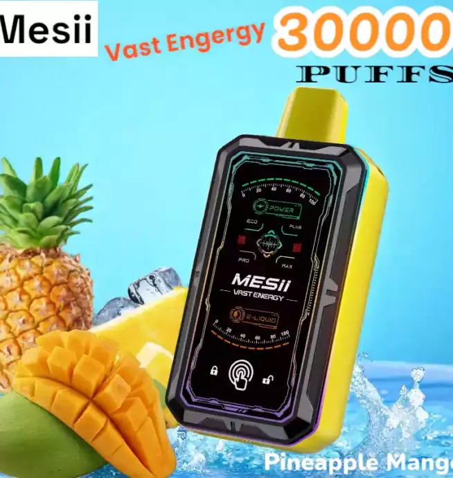 Mesii Vast Energy 30000 Puffs Disposable Vape mit 30ml