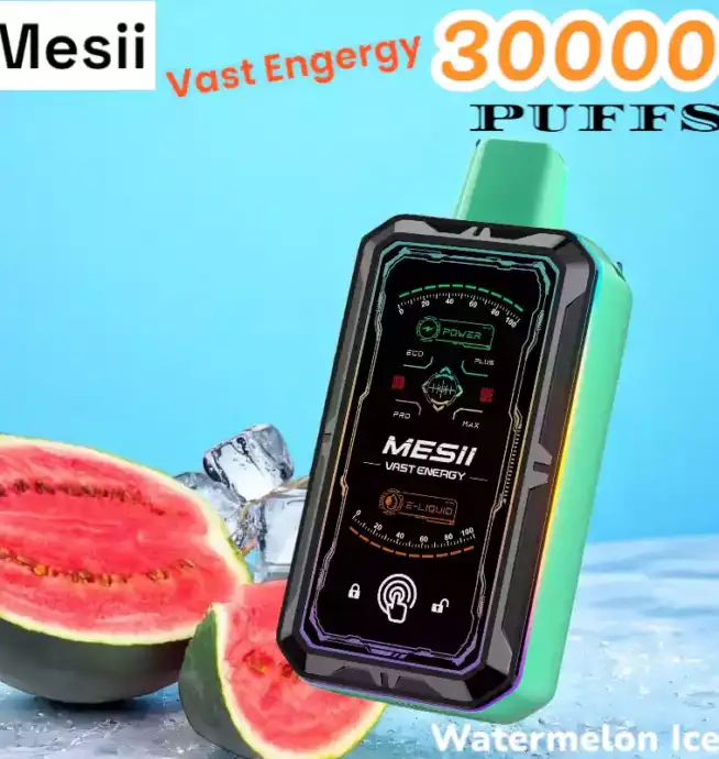 Mesii Vast Energy 30000 Puffs Disposable Vape mit 30ml