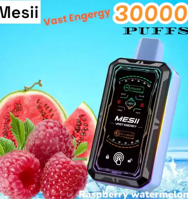 Mesii Vast Energy 30000 Puffs Disposable Vape mit 30ml