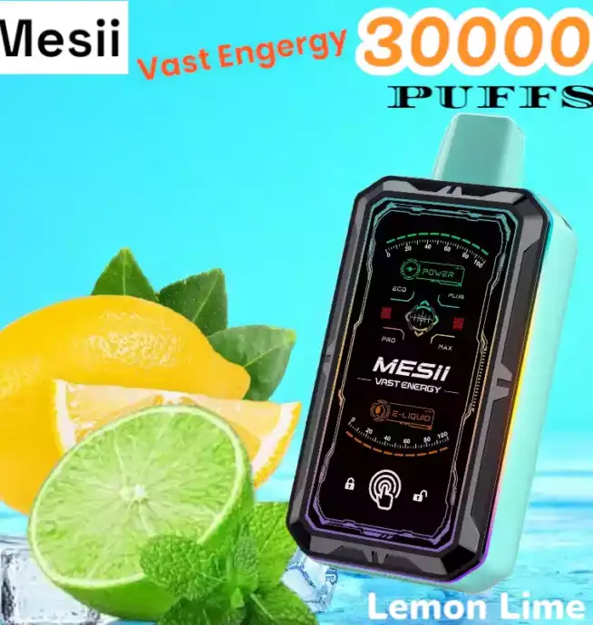 Mesii Vast Energy 30000 Puffs Disposable Vape mit 30ml