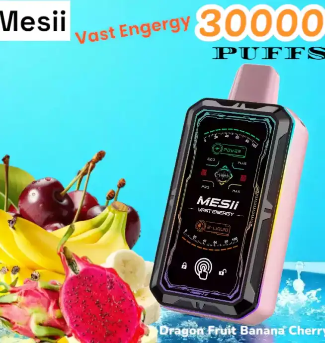 Mesii Vast Energy 30000 Puffs Disposable Vape mit 30ml