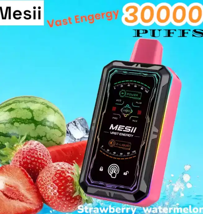 Mesii Vast Energy 30000 Puffs Disposable Vape mit 30ml