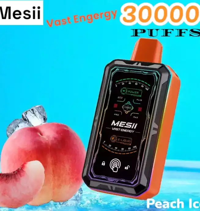 Mesii Vast Energy 30000 Puffs Disposable Vape mit 30ml