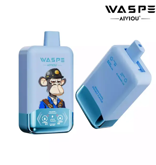 WASPE Double Flavor 40000 Puffs Disposable Vape mit Double Flavor System