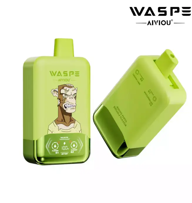 WASPE Double Flavor 40000 Puffs Disposable Vape mit Double Flavor System