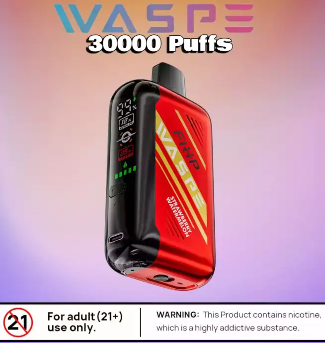 WASPE FW 30000 Puffs Disposable Vape mit Dual Mesh Coil – Bild 2