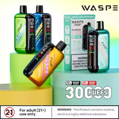 WASPE FW 30000 Puffs Disposable Vape mit Dual Mesh Coil
