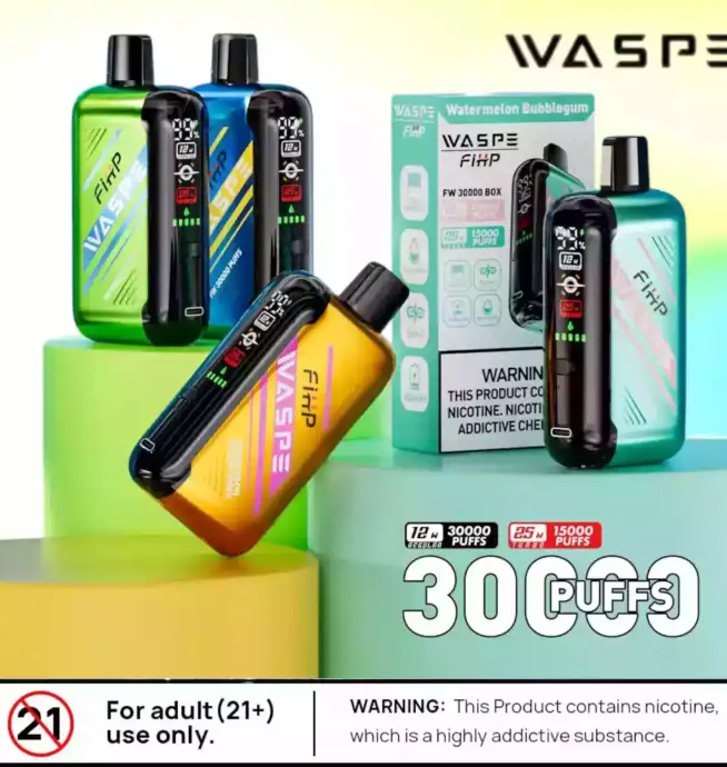 WASPE FW 30000 Puffs Disposable Vape mit Dual Mesh Coil