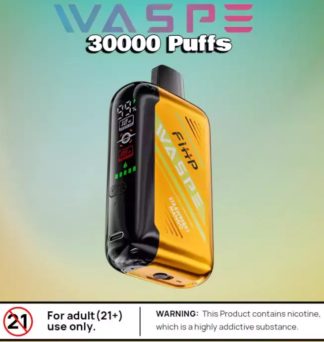 WASPE FW 30000 Puffs Disposable Vape mit Dual Mesh Coil