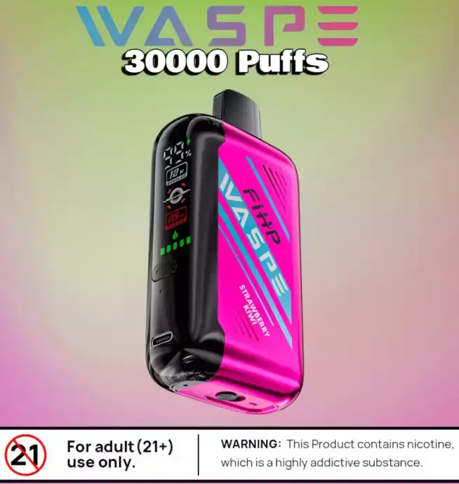 WASPE FW 30000 Puffs Disposable Vape mit Dual Mesh Coil