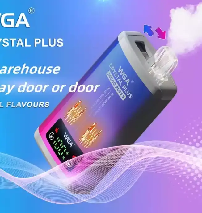 WGA 20000 Puffs Disposable Vape mit Mesh Coil & USB-C