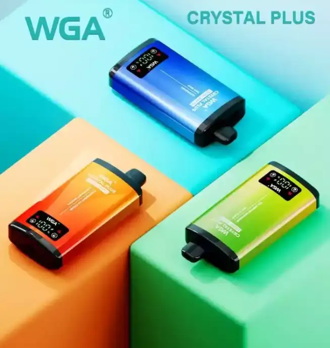 WGA 20000 Puffs Disposable Vape mit Mesh Coil & USB-C