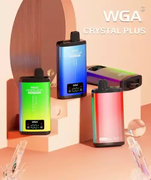 WGA 20000 Puffs Disposable Vape mit Mesh Coil & USB-C