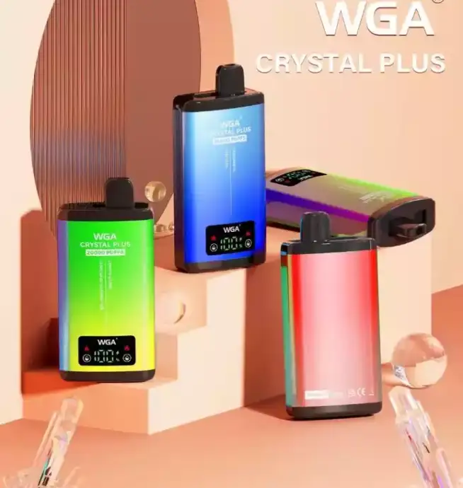 WGA 20000 Puffs Disposable Vape mit Mesh Coil & USB-C
