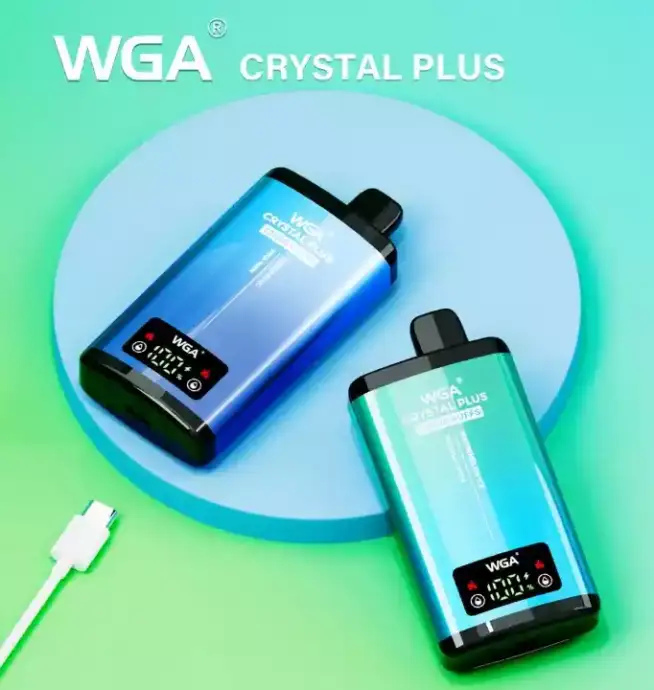 WGA 20000 Puffs Disposable Vape mit Mesh Coil & USB-C