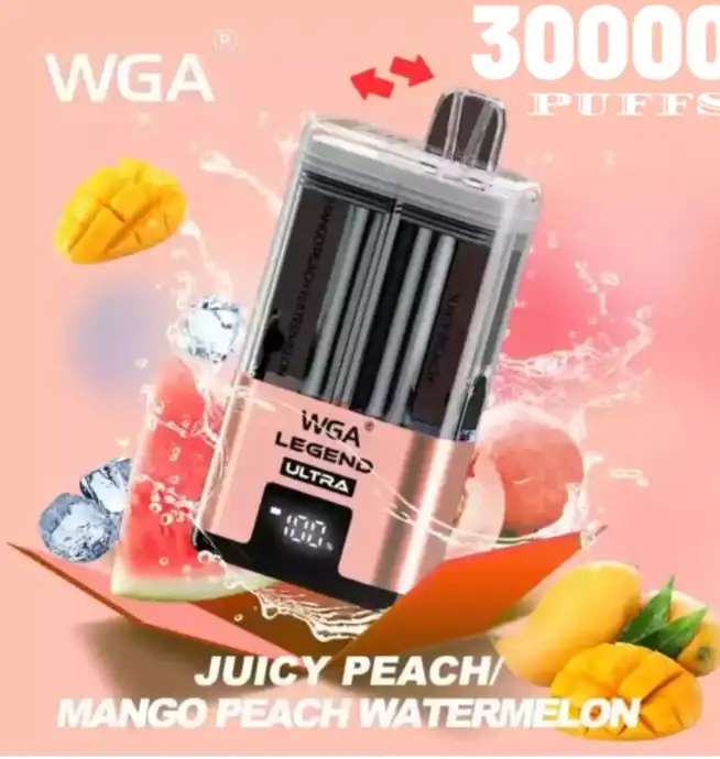 WGA 30000 Puffs Disposable Vape mit Dual Flavor & Mesh Coil