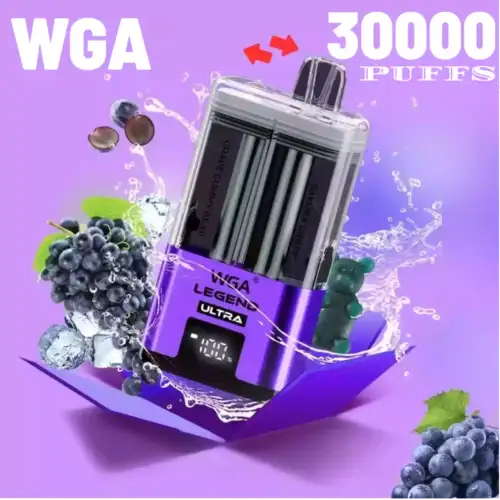 WGA 30000 Puffs Disposable Vape mit Dual Flavor & Mesh Coil
