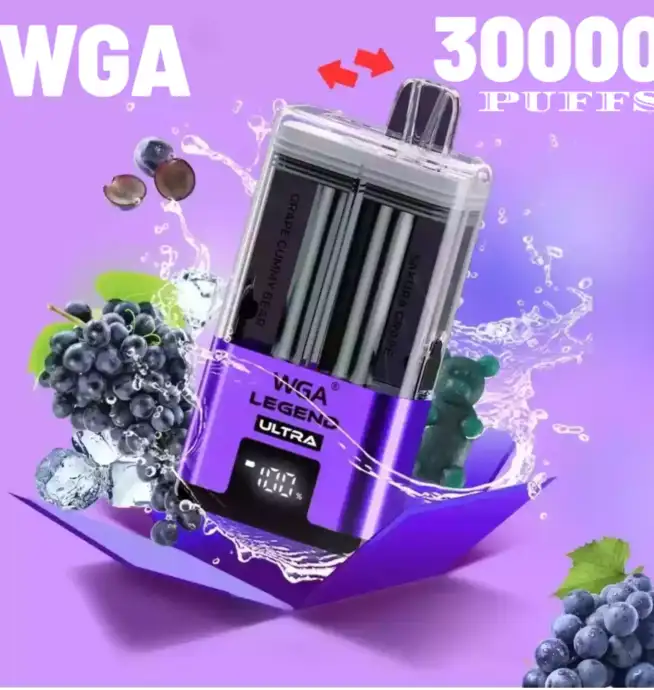 WGA 30000 Puffs Disposable Vape mit Dual Flavor & Mesh Coil