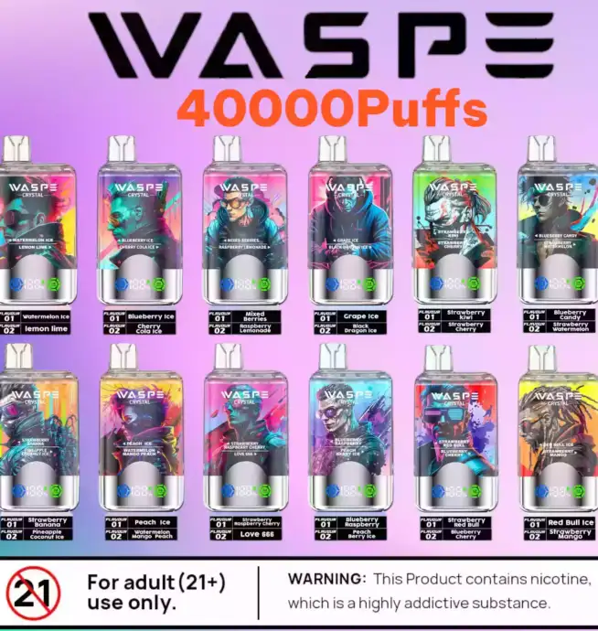 Waspe Crystal 40000 Puffs Disposable Vape mit Dual Flavor
