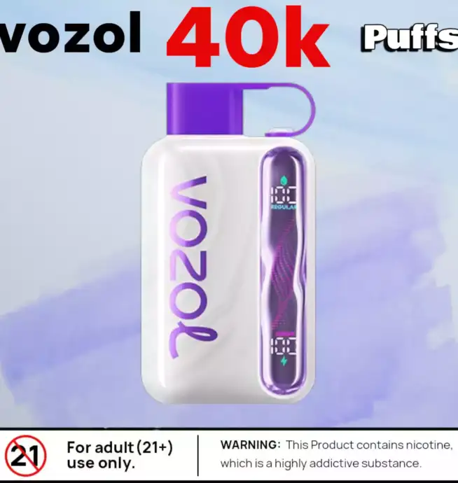 vozol star 40k Puffs Disposable Vape mit LED Screen & 1000mAh